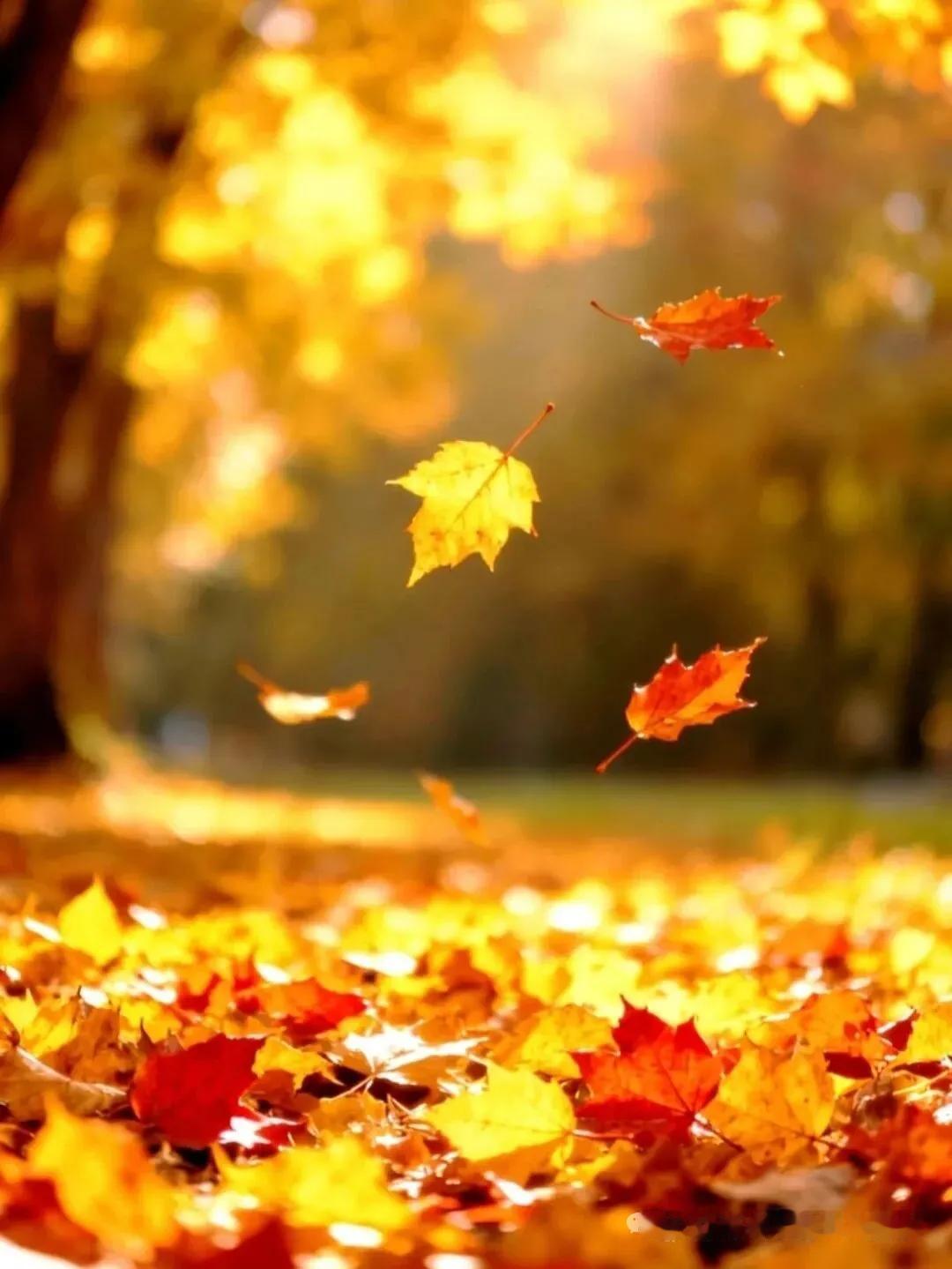 老祖宗俗语：钱三不借，礼三不随。与你分享
    老祖宗俗语：“钱有三不借，礼有