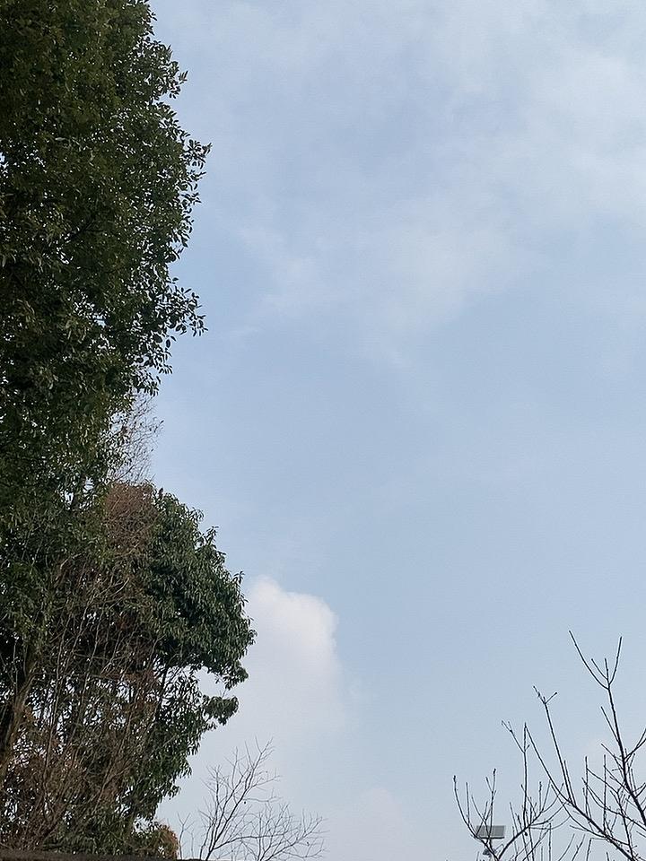 中国一旦彻底私有化，将无力对抗美西方，只能重新跪下，永远没有机会再站起来，这绝不