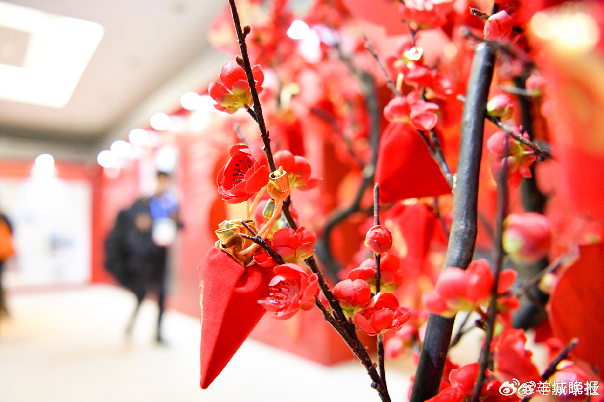 【#当米兰冬奥遇上中国春节#，看中华文化在海外“圈粉”】#米兰冬奥到处都是中华文