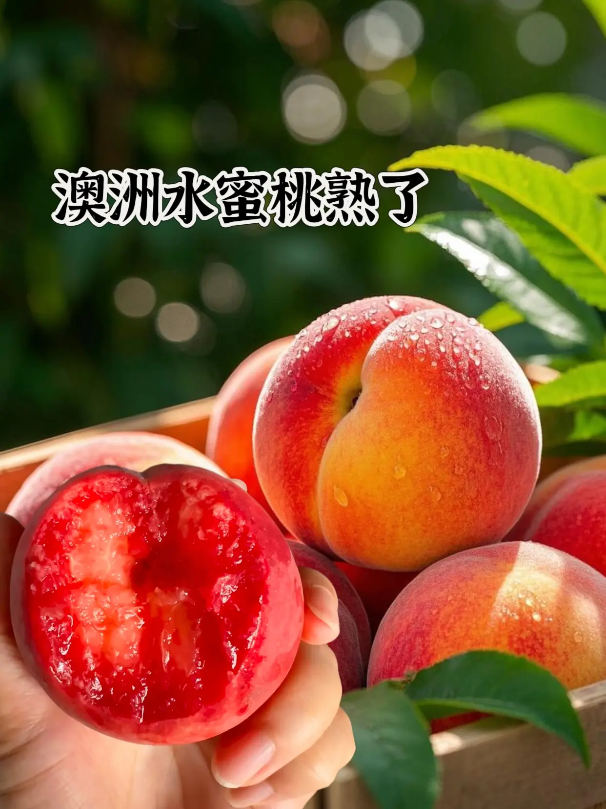 澳洲水蜜桃。姐妹们在家也还能吃到澳洲的水蜜桃，巨巨好吃