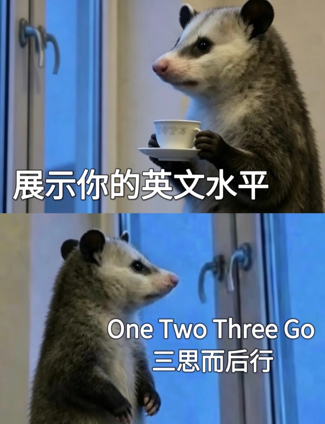 英语这个东西谁进口的呢晚上背早上忘指定有啥说法 