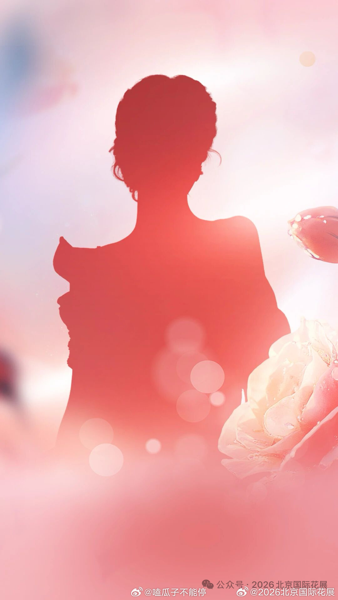 2026北京国际花展宣传大使是杨紫