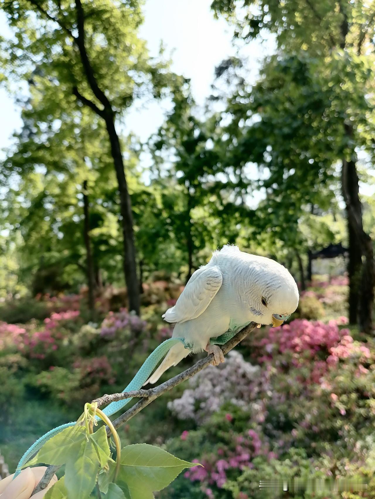 分配时间
开单只需要10秒，盯盘可以耗去7*24小时，而不断的学习和分析才最值得