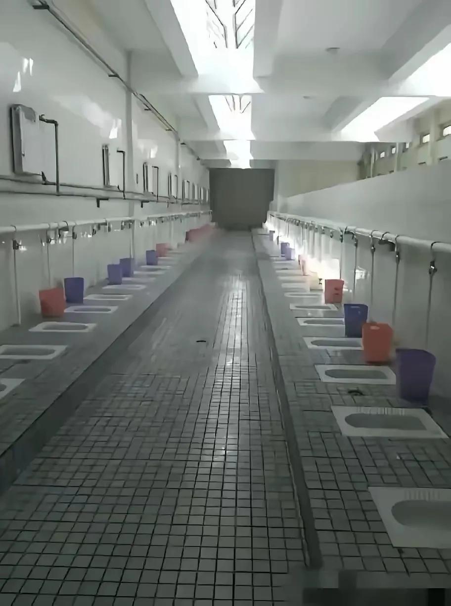 这种厕所，你能解的出来吗？你看着我，我看着你，太害羞吧