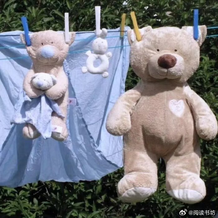 每一粒葡萄都能背诵夏日时光的名字——安德拉德《静物》 