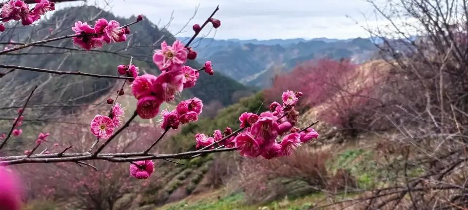 上联：山山水水皆秀美，请对下联春光明媚无限美。