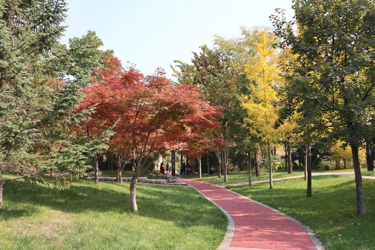 我特别喜欢，经常有人问我，你就不想过得轰轰烈烈一点吗？天天过着差不多的日子，不觉