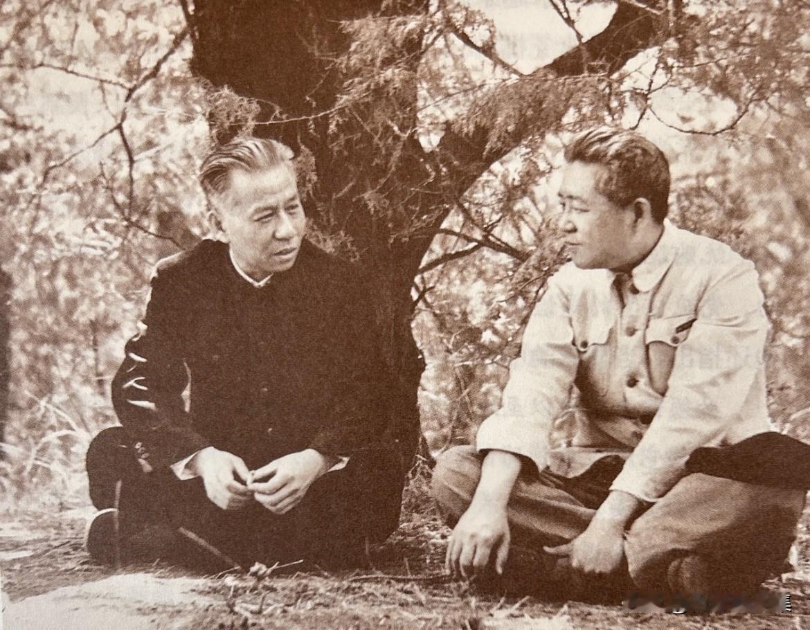 1955年，刘少奇同皮肤病专家胡传揆（右）席地而坐，促膝交谈。胡传揆1927年毕