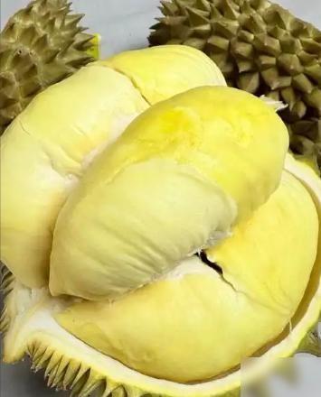 广东，一位全职妈妈馋榴莲了，让10岁左右的儿子给爸爸发信息，结果孩子回了一句“你
