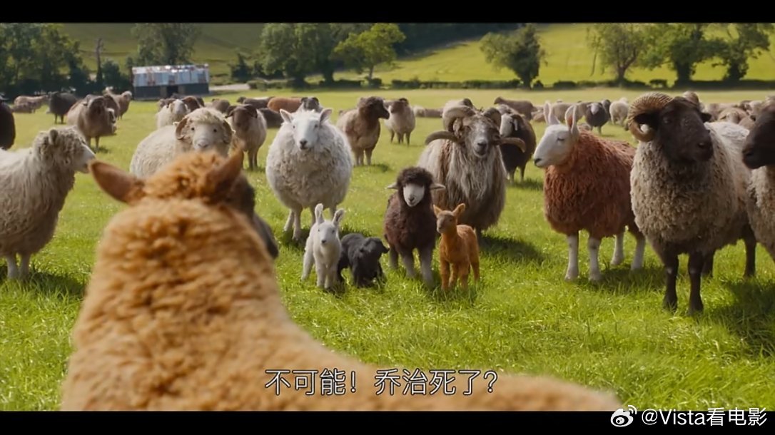 《小黄人大眼萌》系列导演凯尔·巴尔达执导的新作《绵羊侦探团》引进了，脑洞很大的一