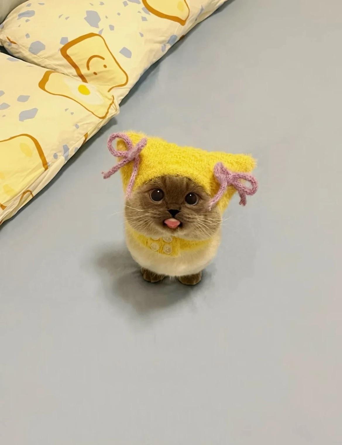 人、糊了的秒脆角来吃嘛？看起来就很美味呢😋