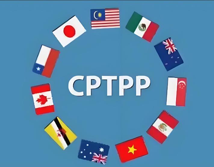 就在6月26日，国际经贸圈扔出个重磅消息，CPTPP现有的12个成员国开了个线上