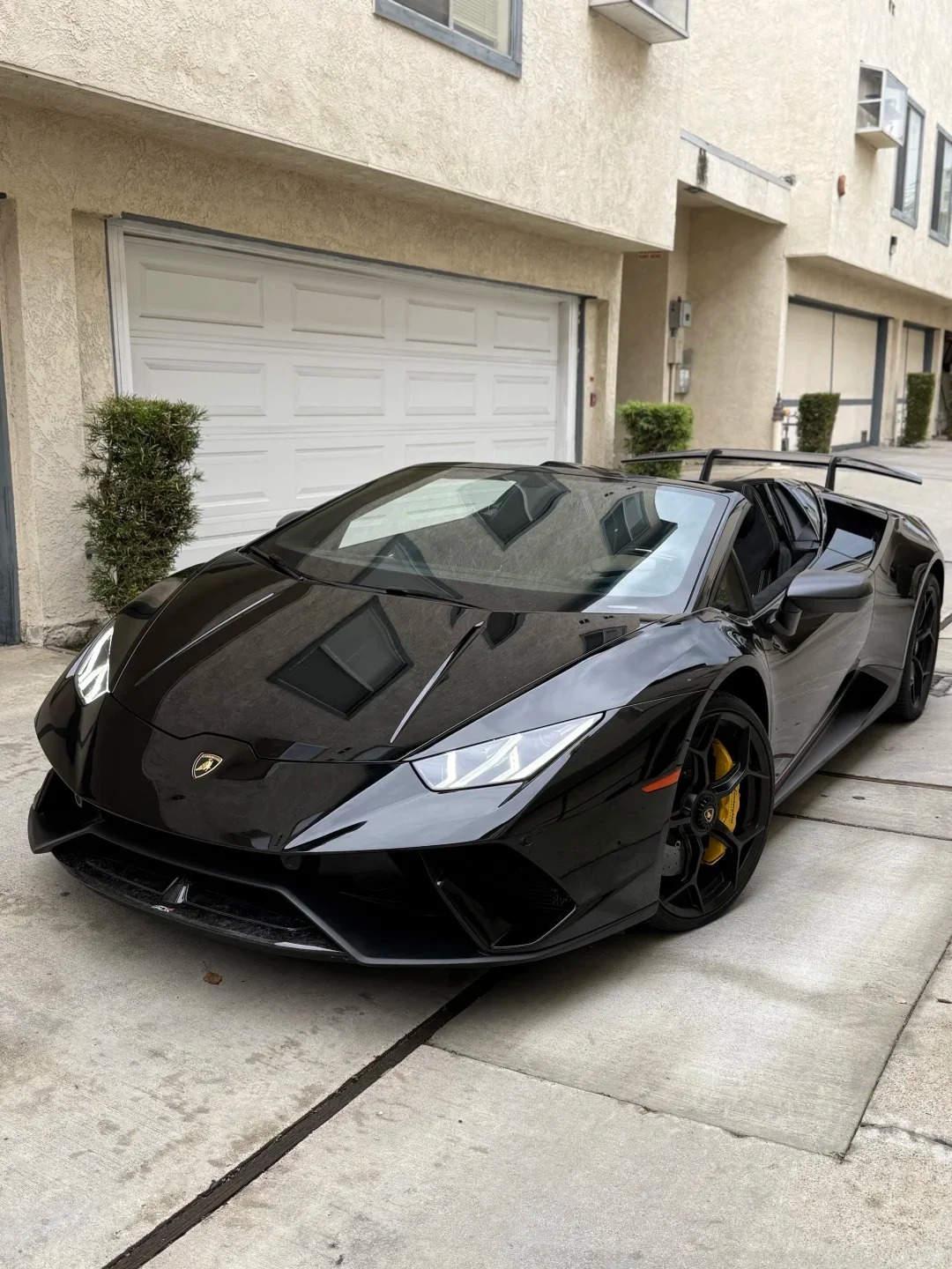 早上好，就问谁能不爱小牛？车东车西