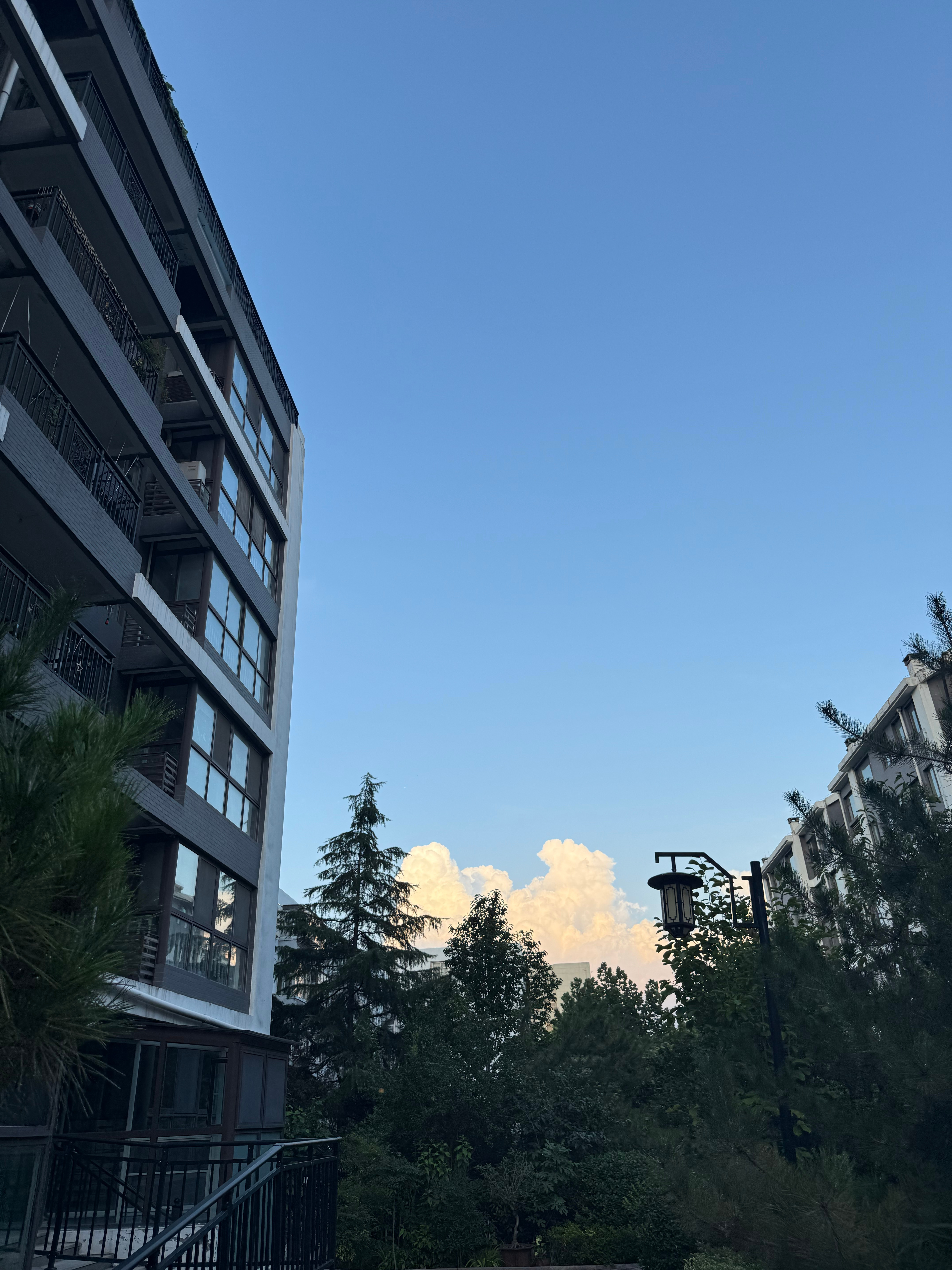 泰安全馋狗 ​​​
