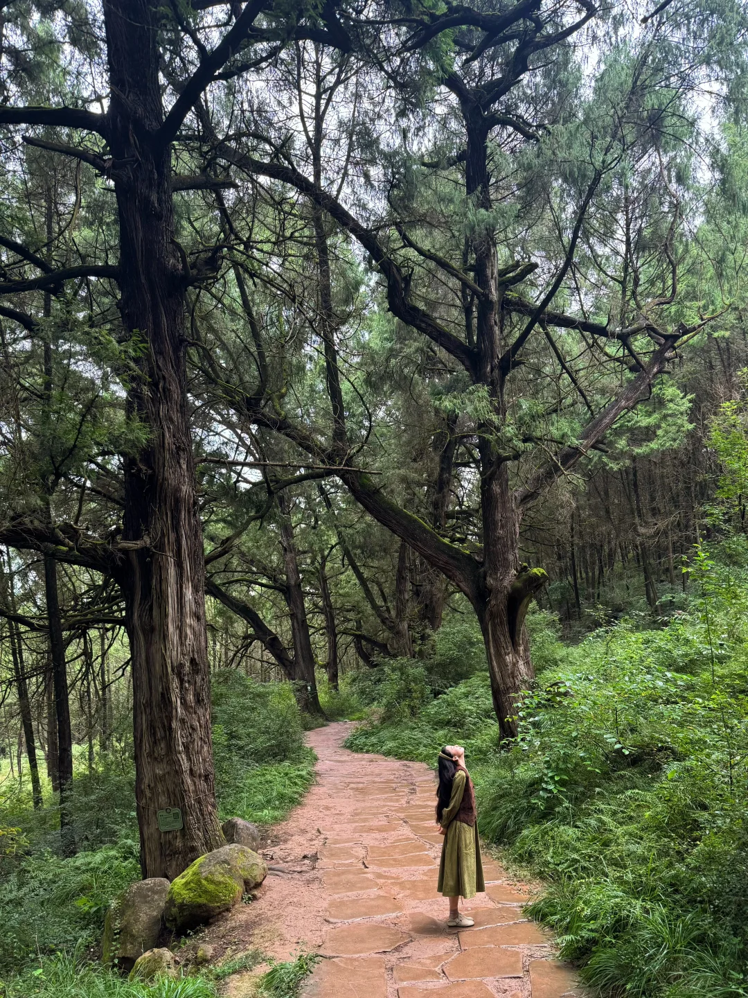 广元古蜀道轻徒步｜在大自然里吸取能量