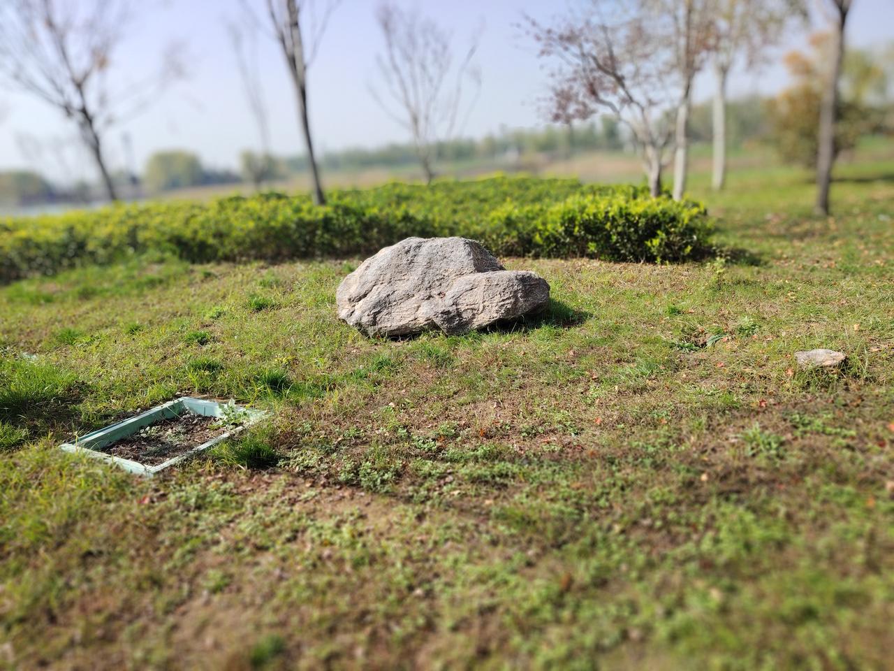 在职场，每天都很忙，
上午画建筑平面图，
下午参加技术讨论会、
看项目视频会、