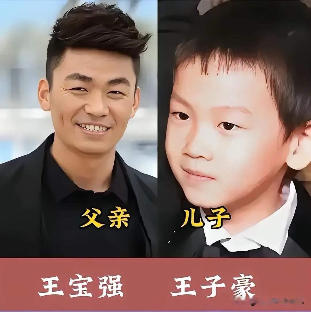 王宝强儿子，和他不太像。
杨志刚的儿子，和他不太像。
黄晓明的儿子，和他很像。
