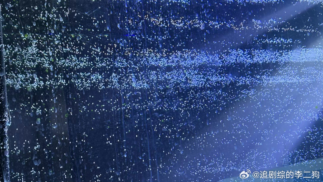 坏消息是我养的一缸迷你鹦鹉鱼，因为突然换水，全嘎了！ 好消息是，我可以把这个大缸