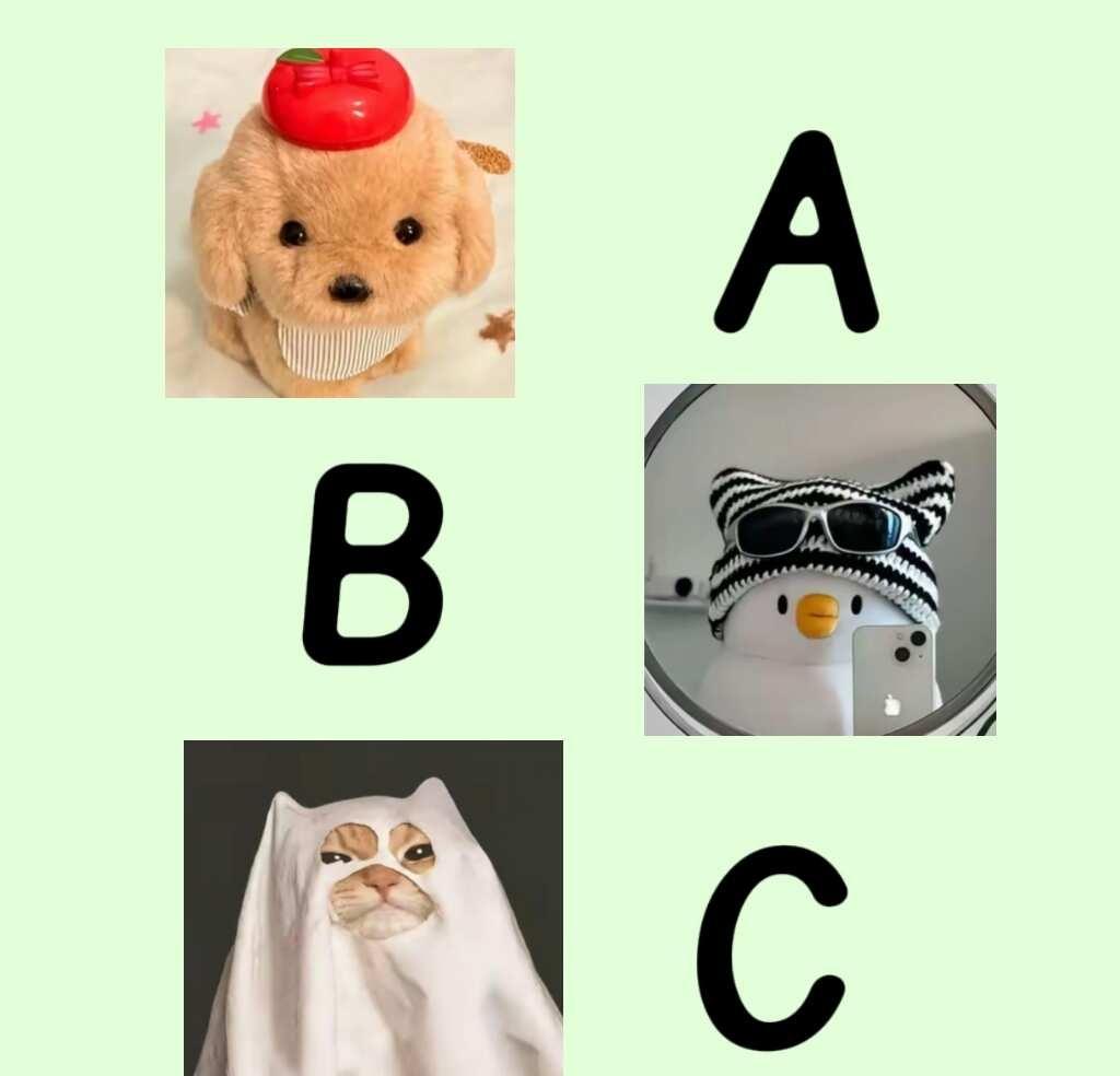 你内心深处的枷锁是什么？
你内心深处的枷锁是什么？
别让现实和生活将你捆绑，强大