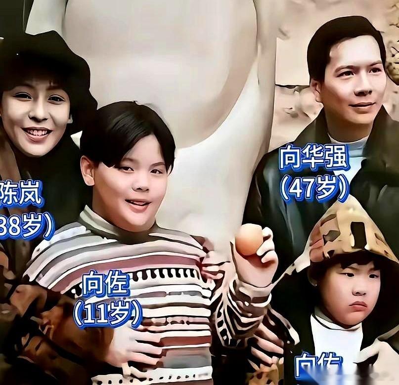 向佐，向华强的儿子，在访谈里讲了段往事。 他说自己在英国留学，14岁，每天半夜1