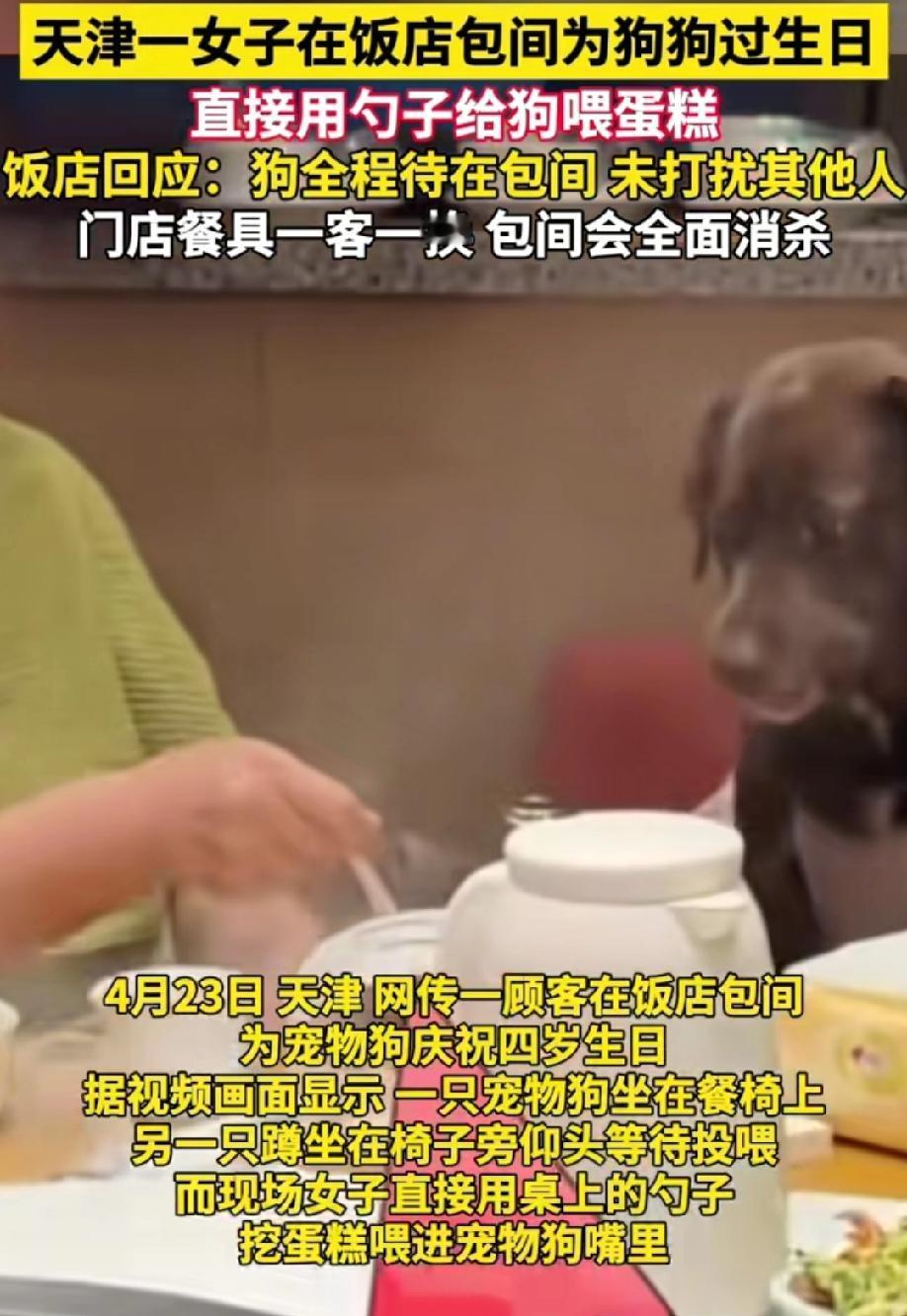 现在这个时代，很多人养宠物，对宠物很宠爱，这也很正常。某地区一位女士，给自己狗过