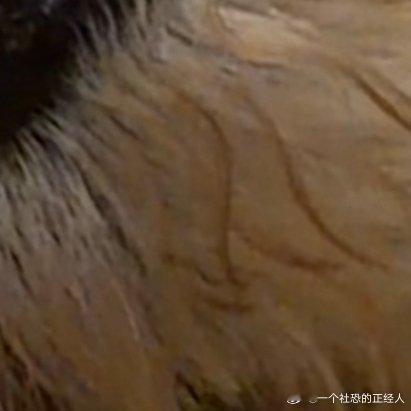 日行一善每日行一善日行一善你好一起保护大自然与社会携手做公益关爱唇腭裂儿童关心小