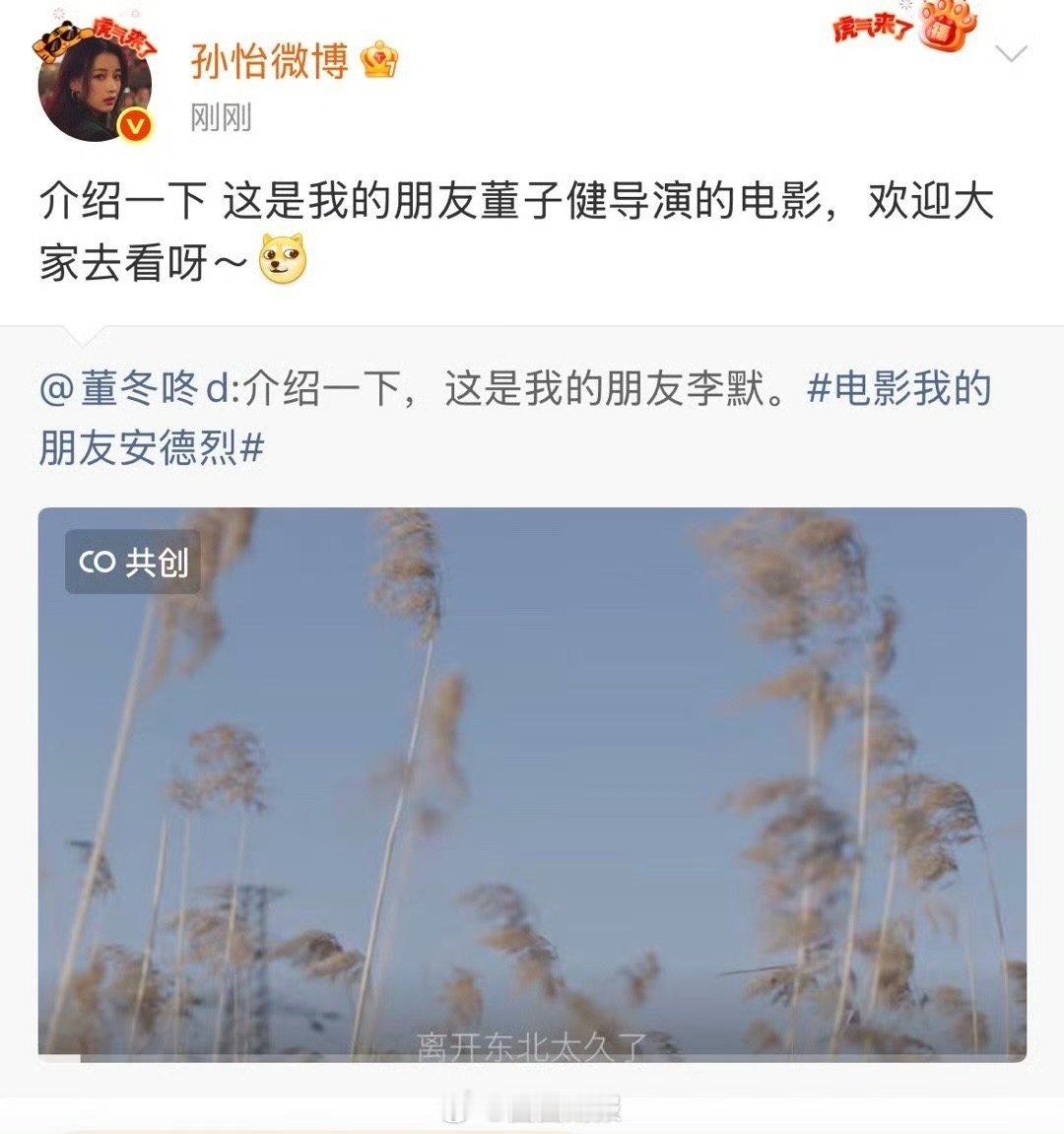 孙怡也真是个神人体面人 