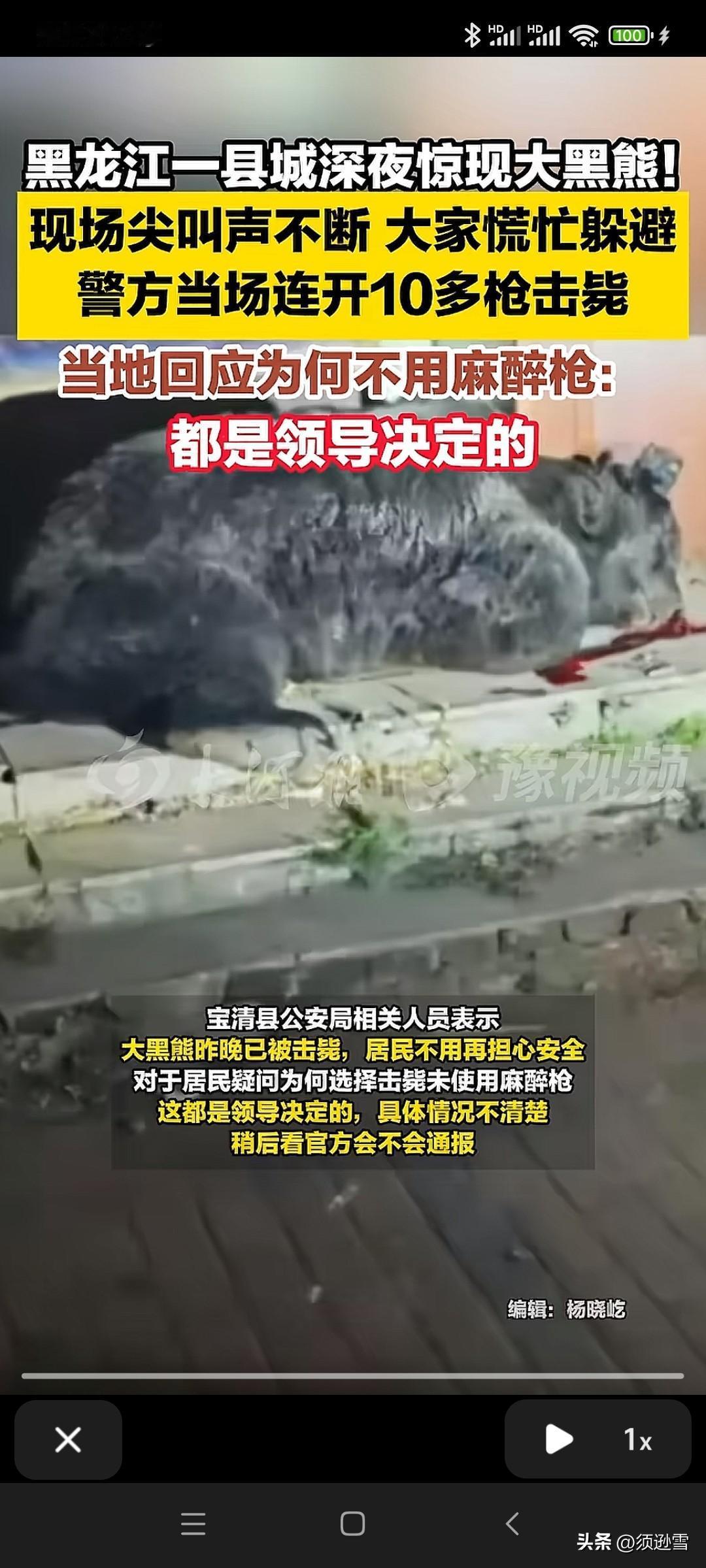 现在的环境是越来越好了吗？
深夜竟然有大黑熊跑到县城来！
好在没有造成人员伤亡！