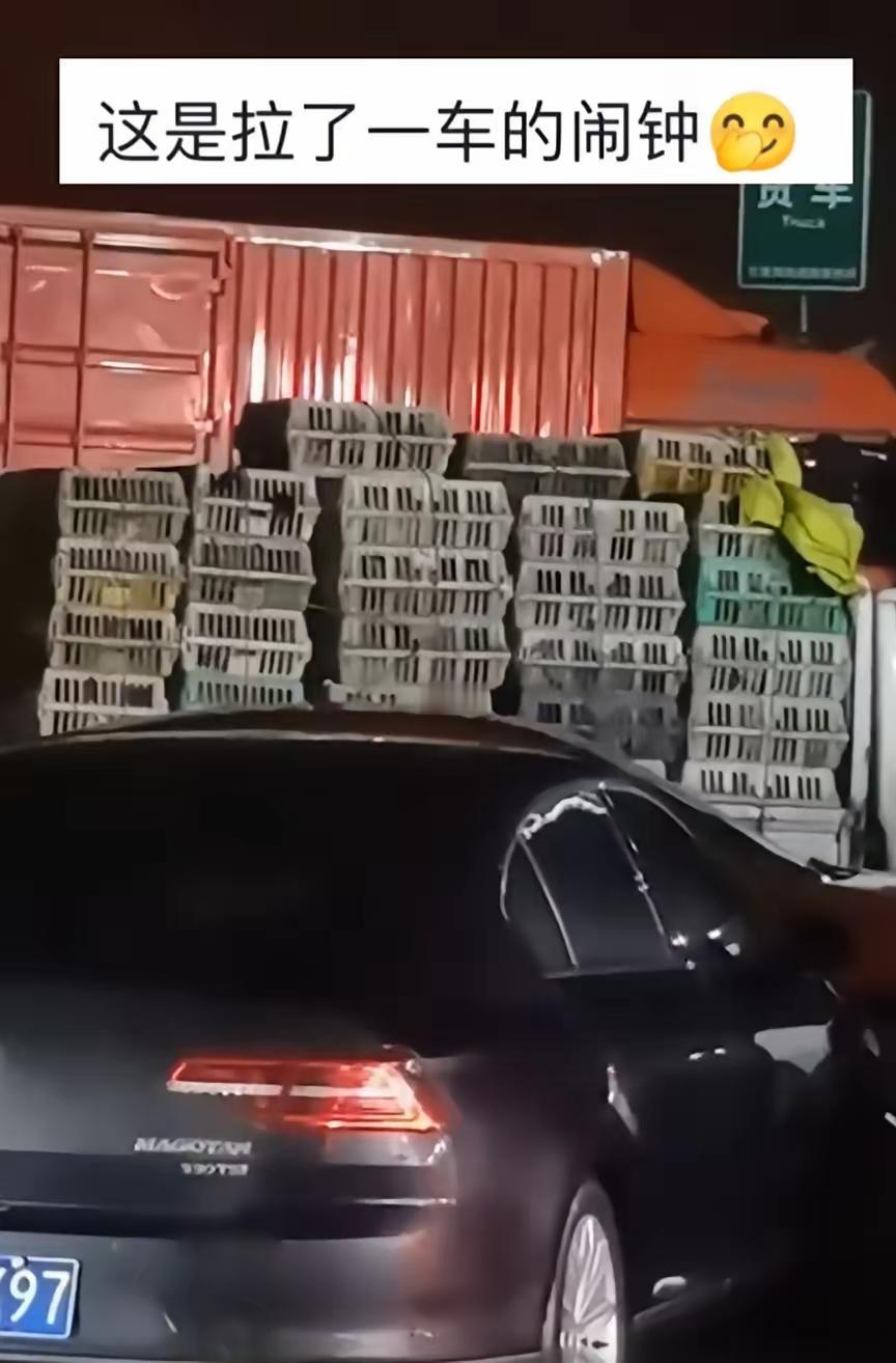 这则故事展现了春运和长途驾驶中常有的小插曲，也透露出在归乡旅途中，人们面对突发状