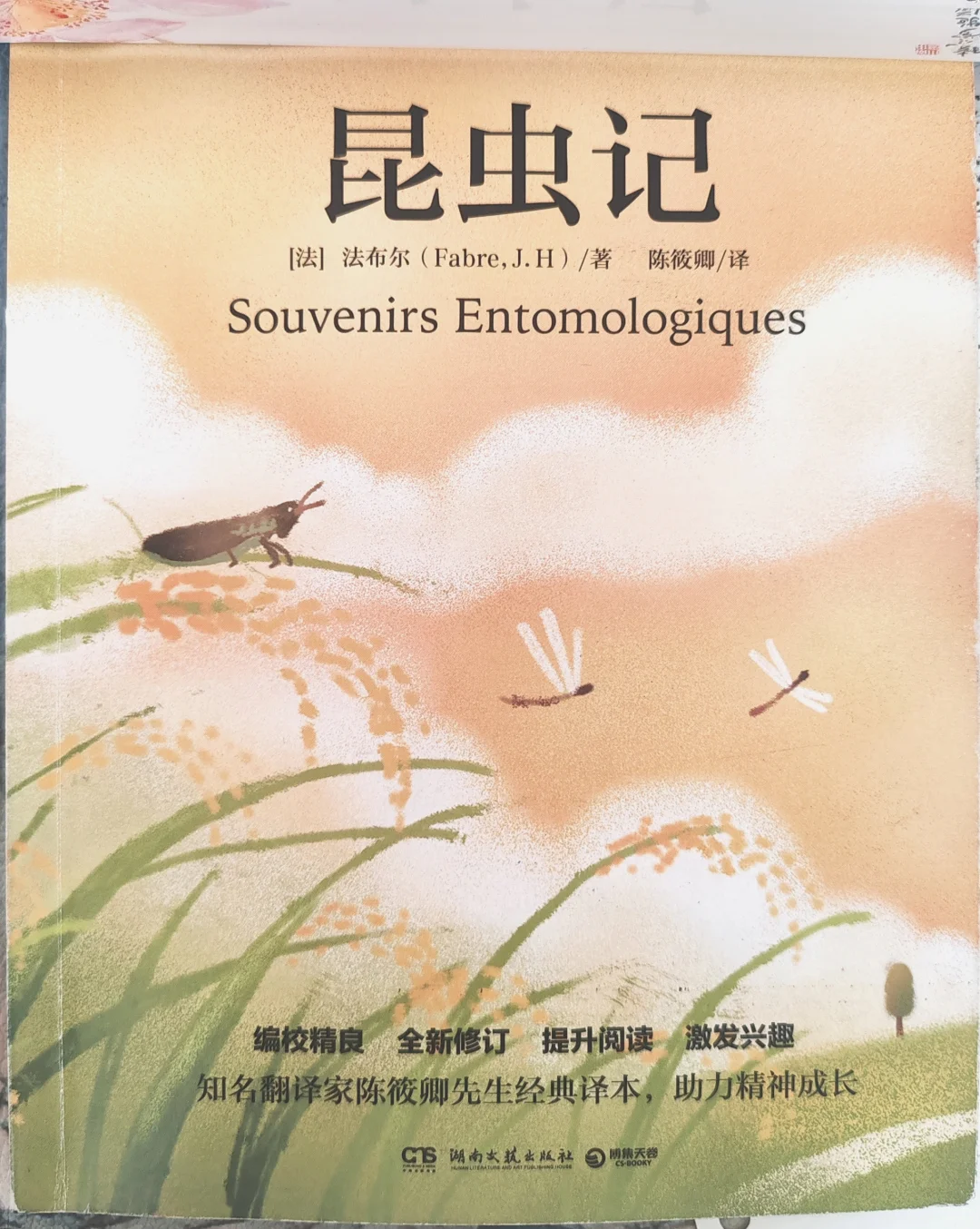《昆虫记》读书笔记更新完毕