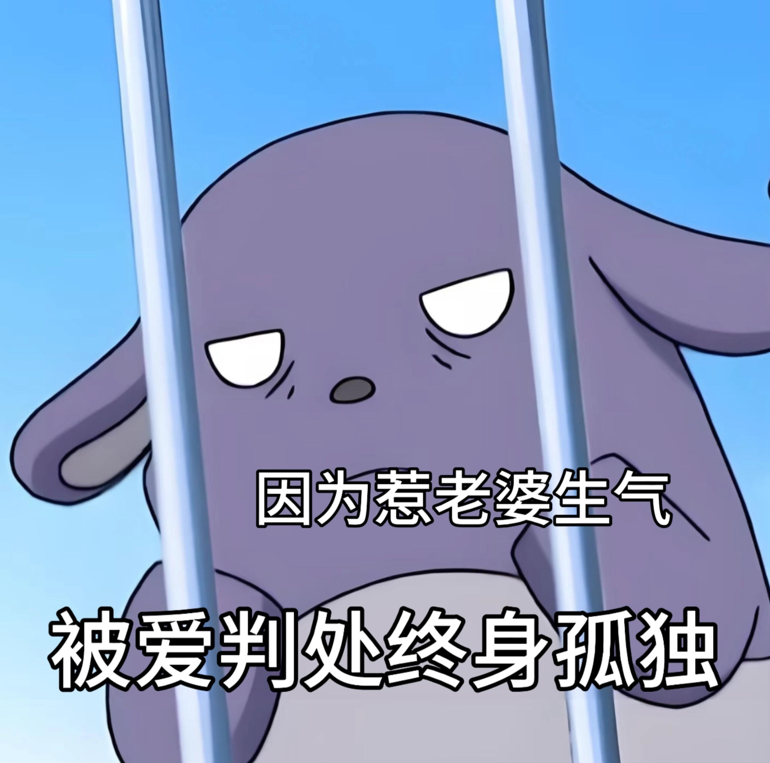 老婆奴巴库｜表情包分享表情包[超话] ​​​