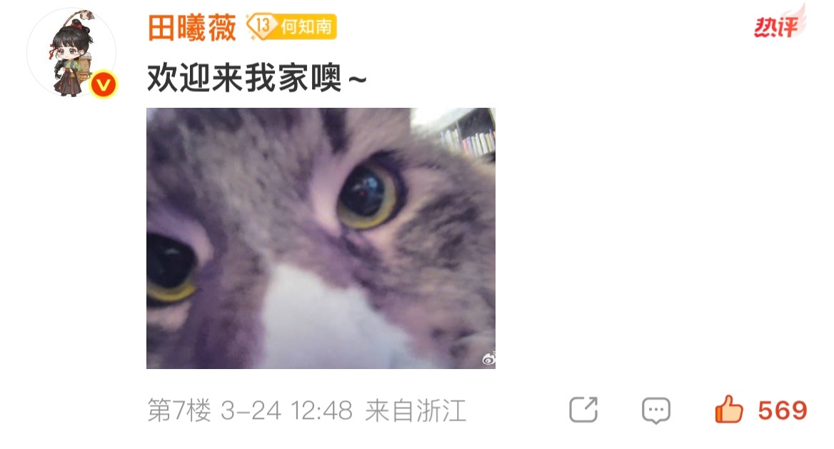 张凌赫田曦薇在喵娲娲评论区团建这个田曦薇一直不停散发魅力 