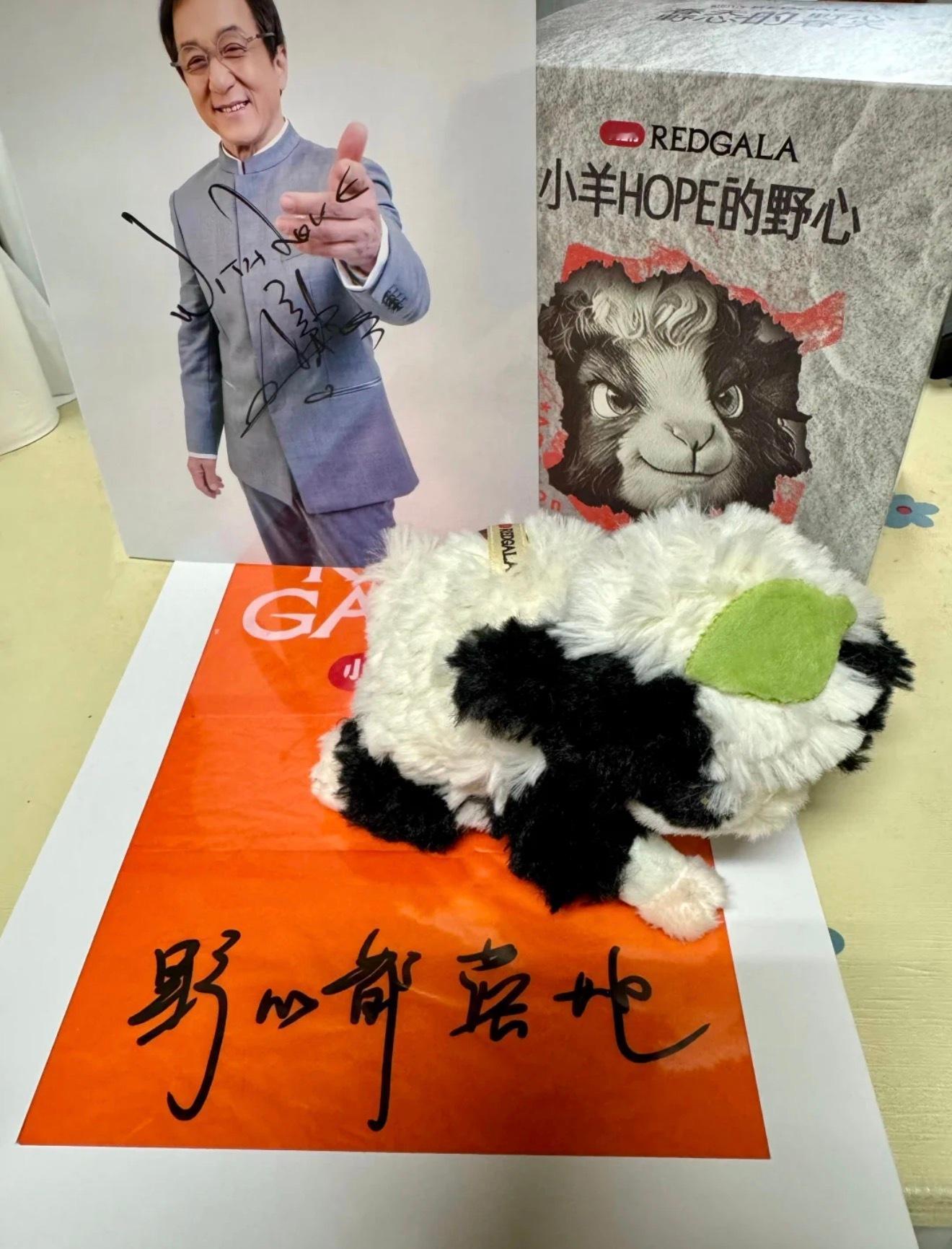 噢天呢小女孩在redgala写的花灯愿望事业粉满足了“野心都落地” 