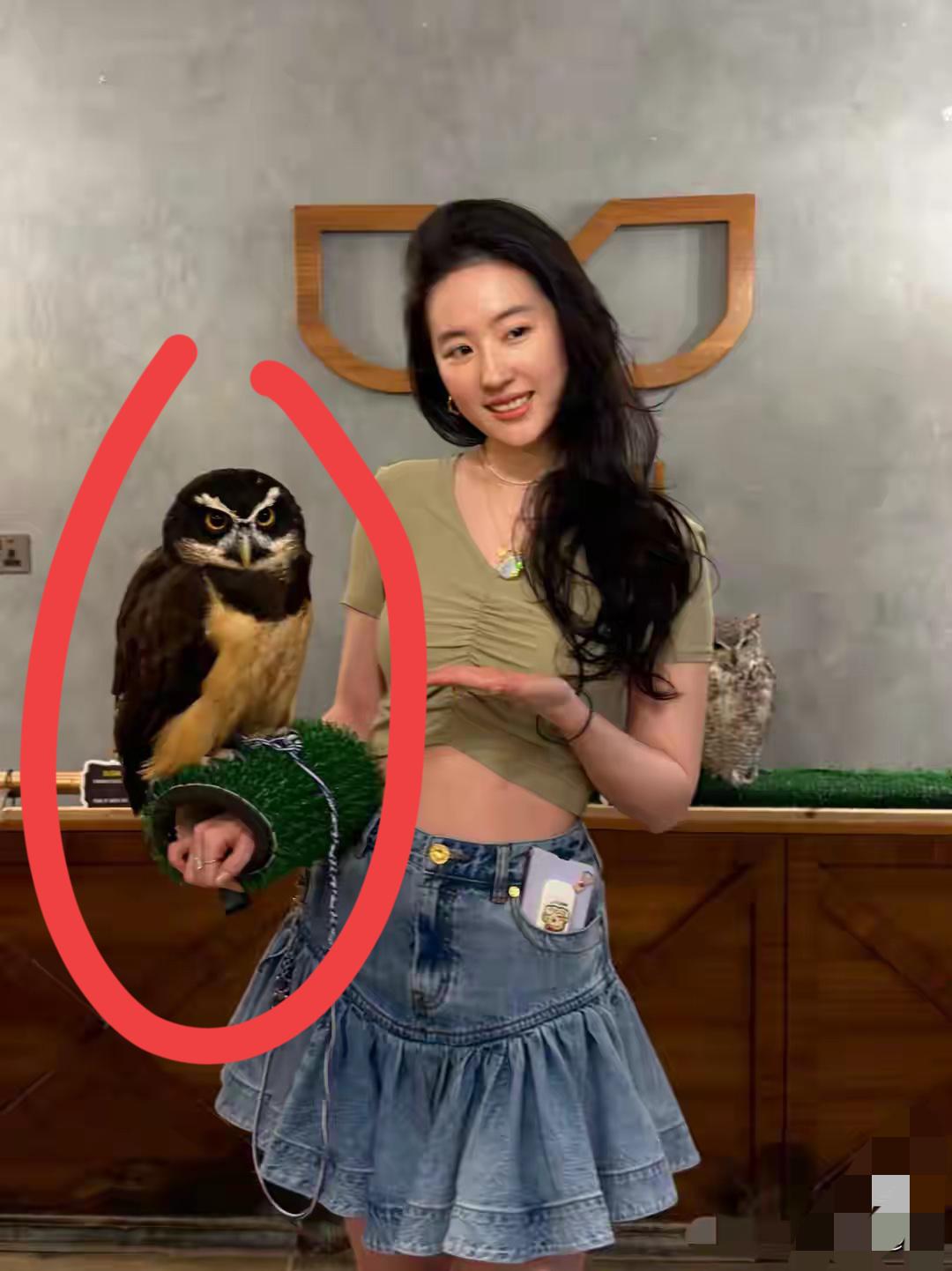 刘亦菲真的好美，旁边是什么动物