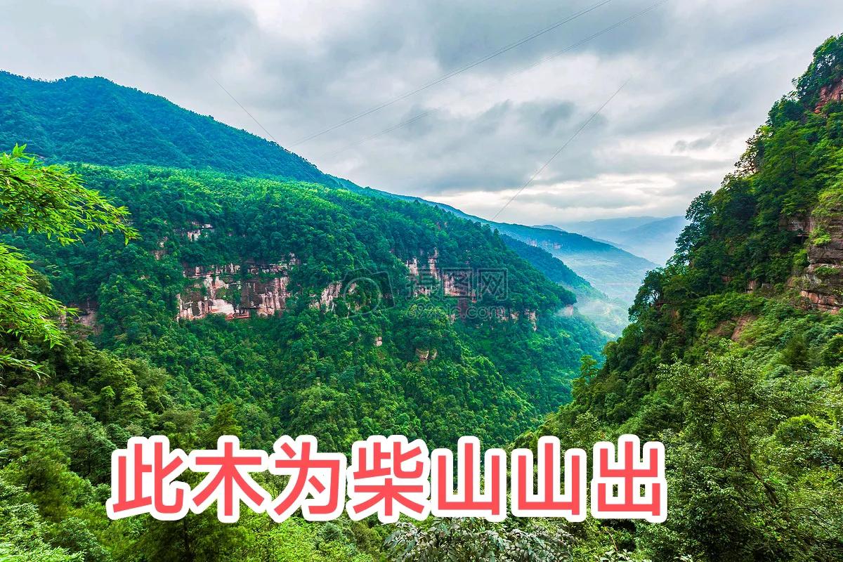 这个对联有讲究，谁来挑战一下；此木为柴山山出。
