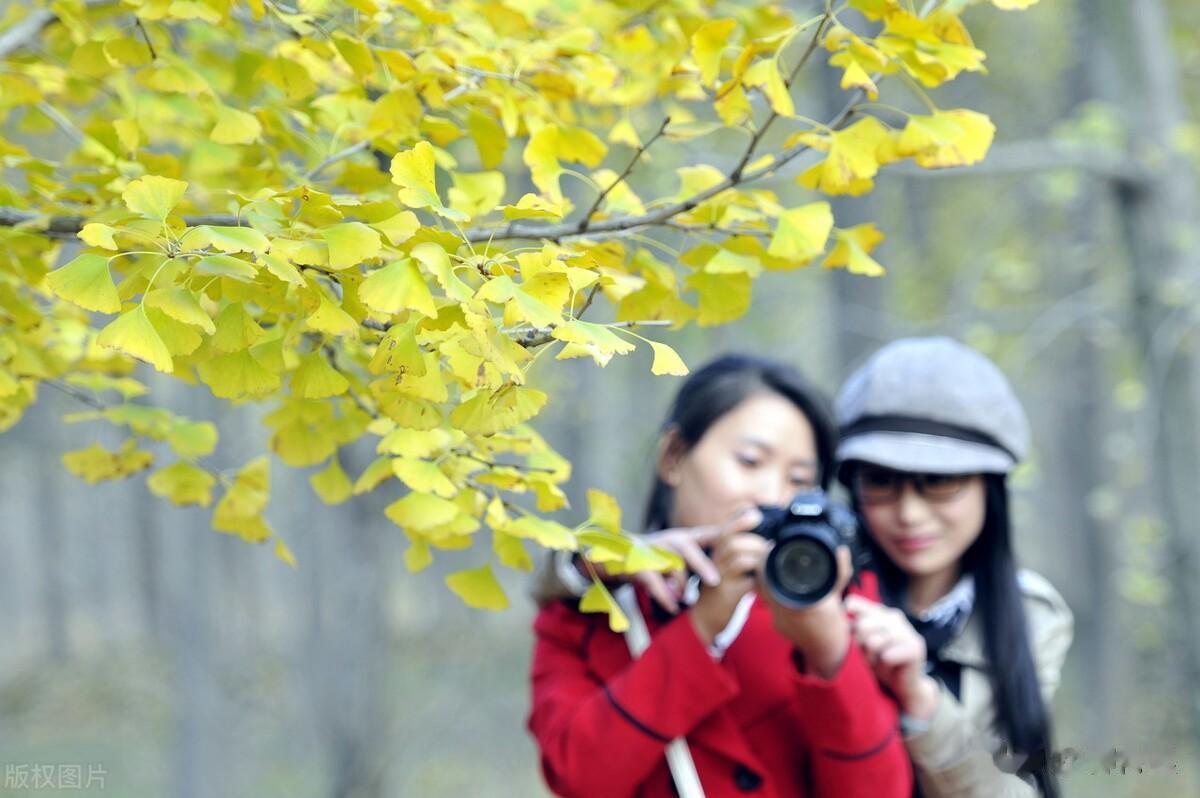 看图考眼力。这两张照片有什么共同之处？
欢迎把答案写在评论区里。留言板上有高手！