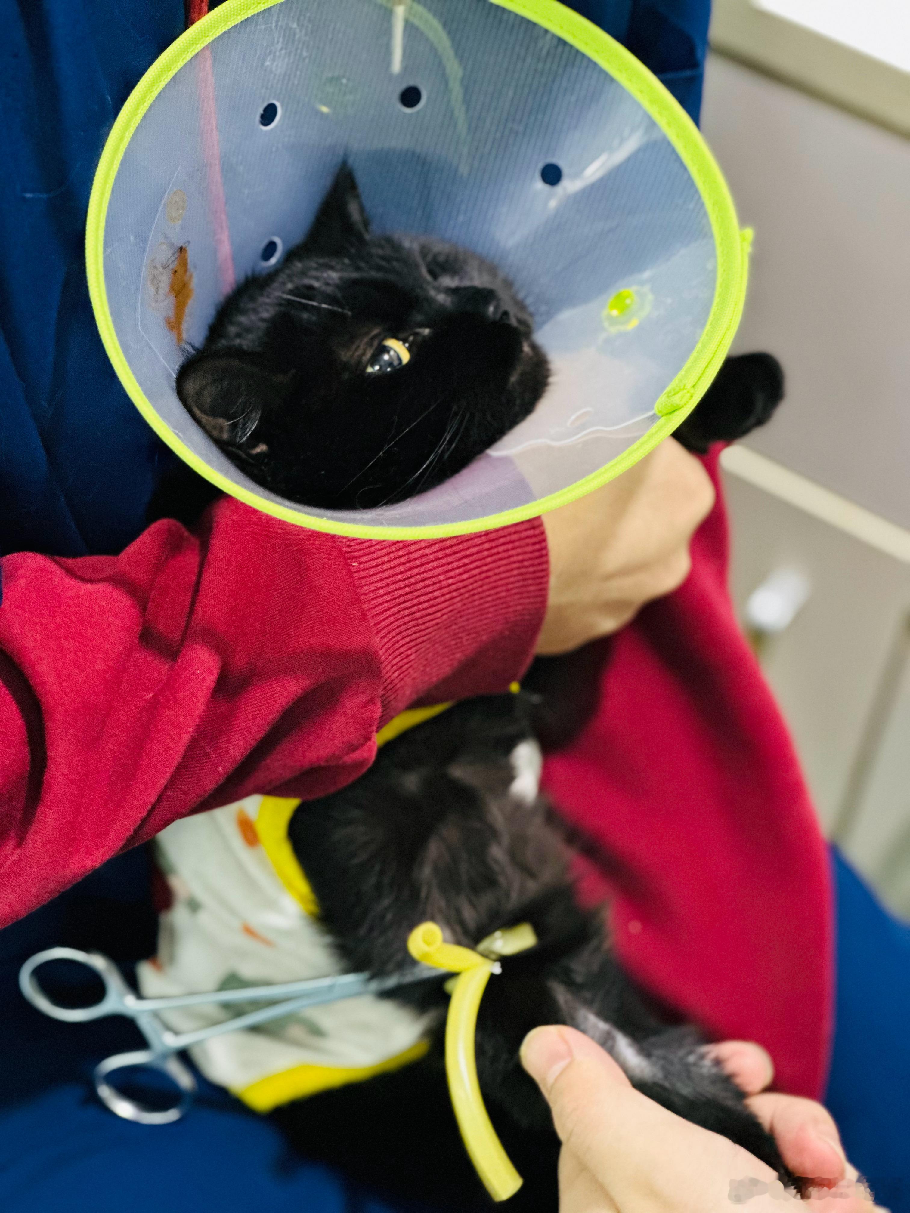 佛法打不败魔法，魔法才能打败魔法，魔法就是佛法。 