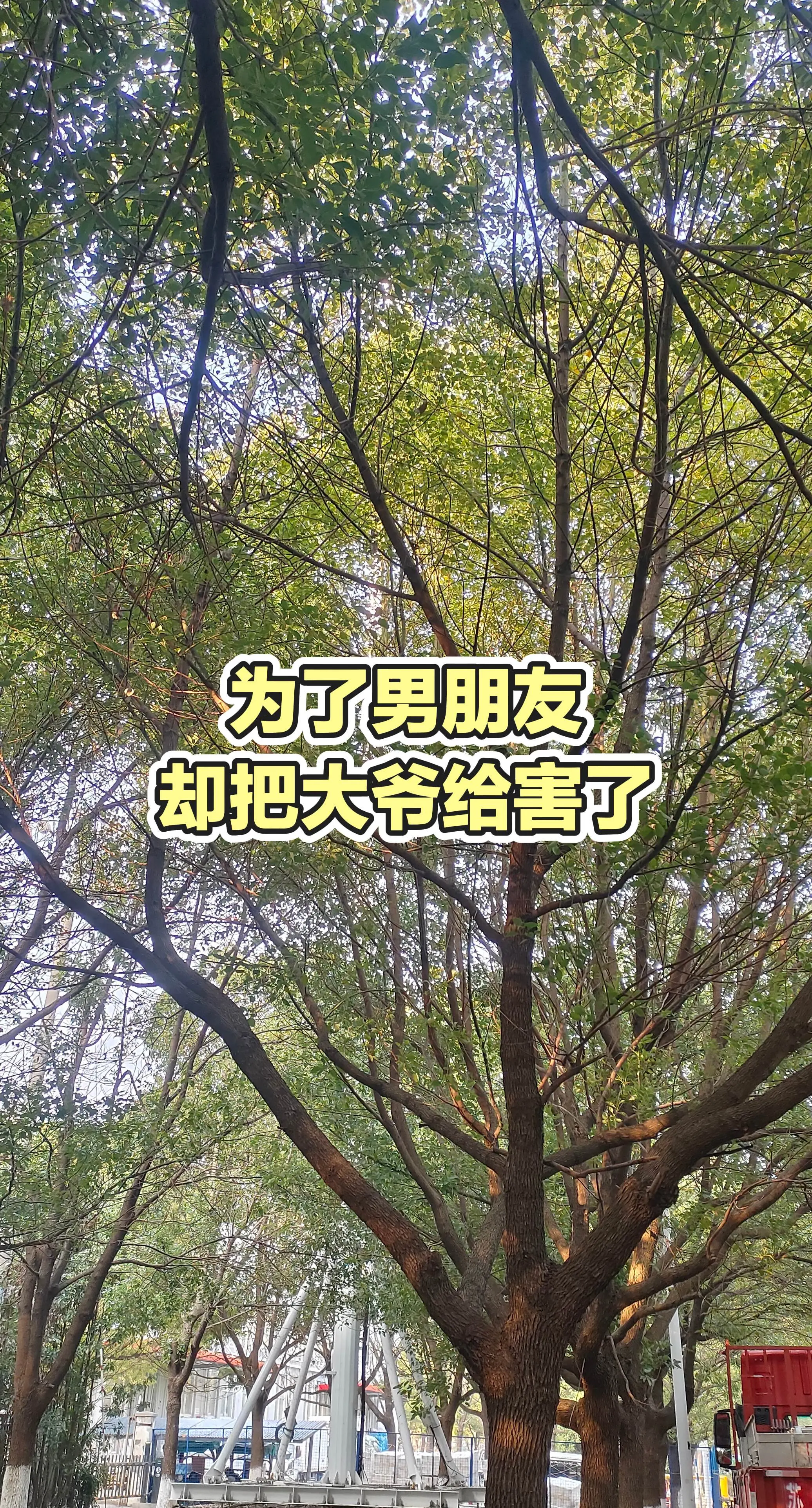 分享