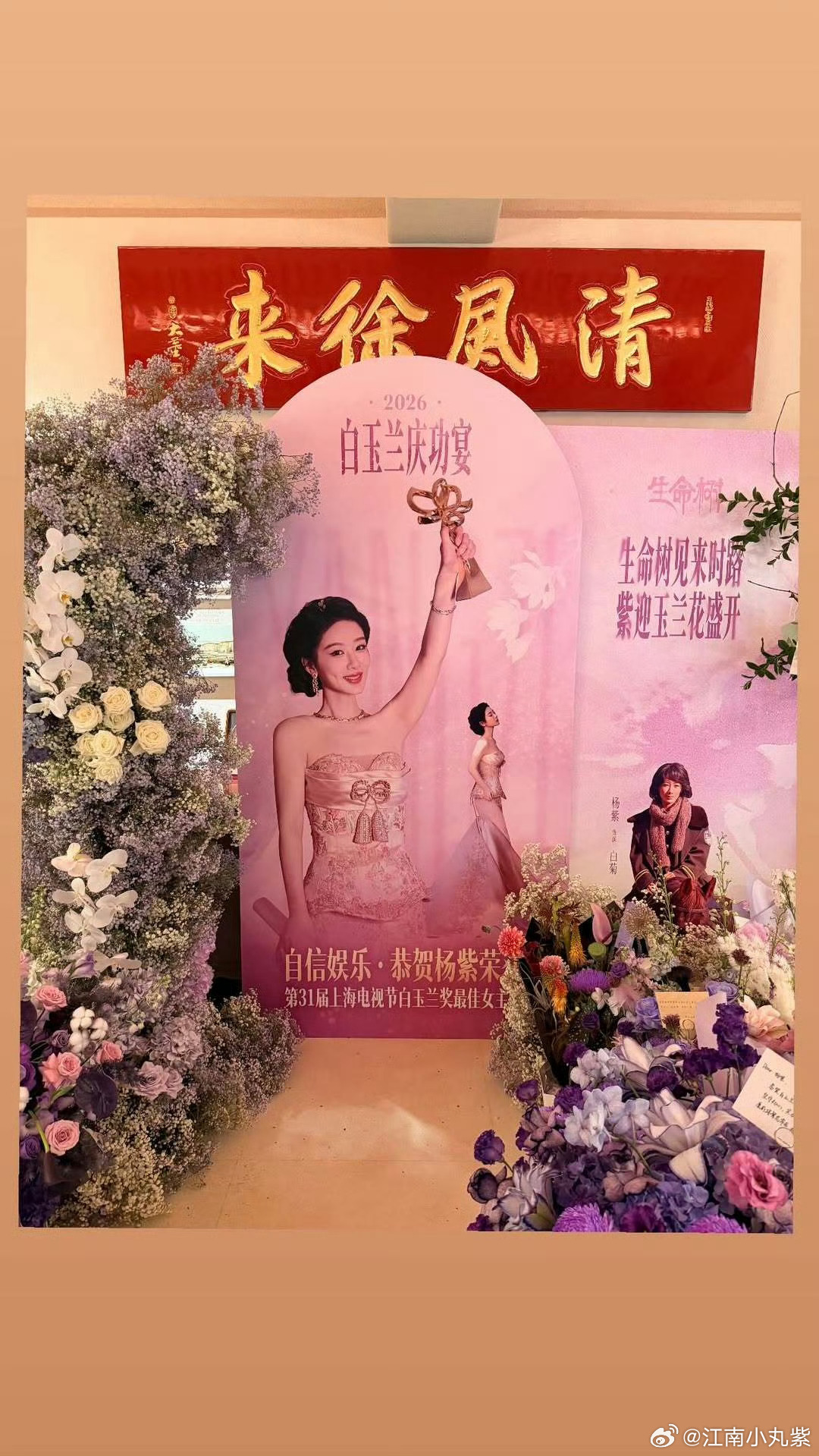杨紫 清风徐来   紫迎玉兰花盛开💜 