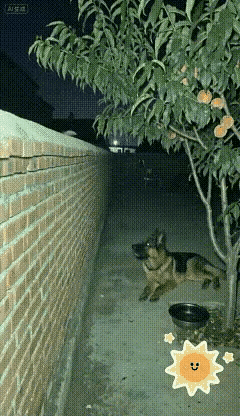 嘴软可能会让自己违背内心真实想法，失去自我。