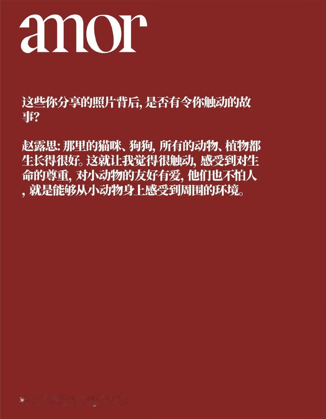 赵露思[超话]  赵露思最新杂志采访，细腻温柔又美好的露露公主 ​​​