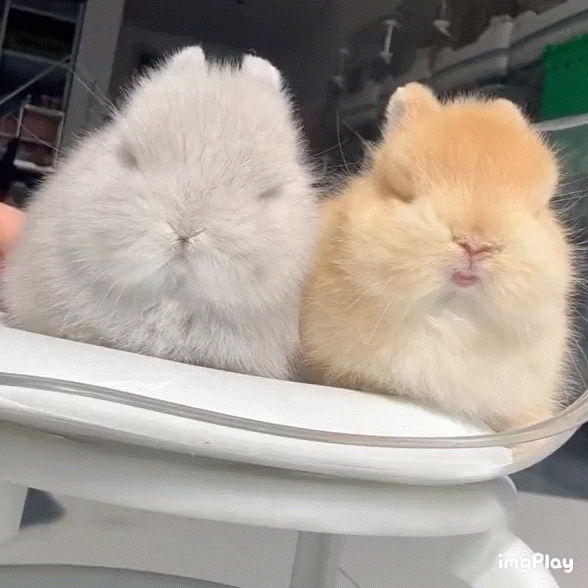 如果我看到是真的，还和Lyx合唱的哟 