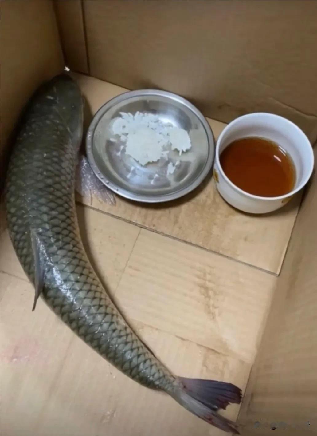 忘了两天的时间，一直不吃不喝的，大家支下招