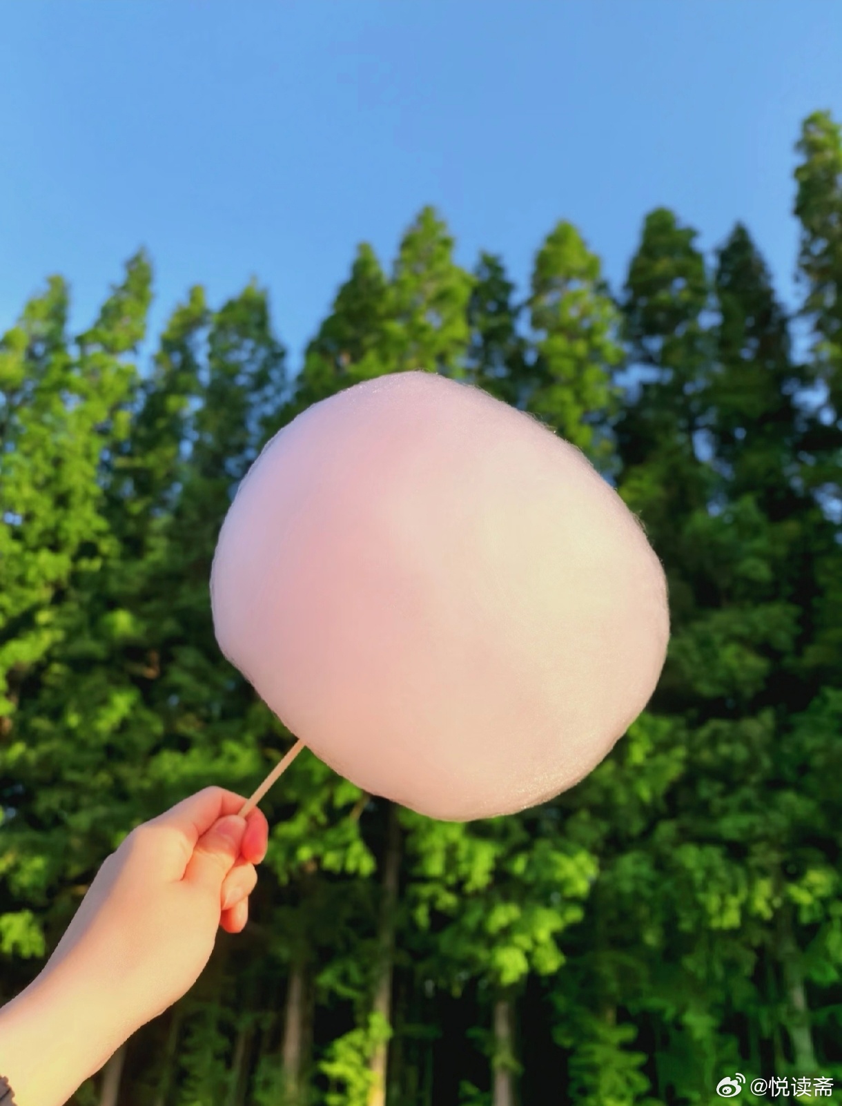 风把烦恼吹成棉花糖，阳光在衣角撒满糖霜，今天的快乐是自带甜意的呀🍬 