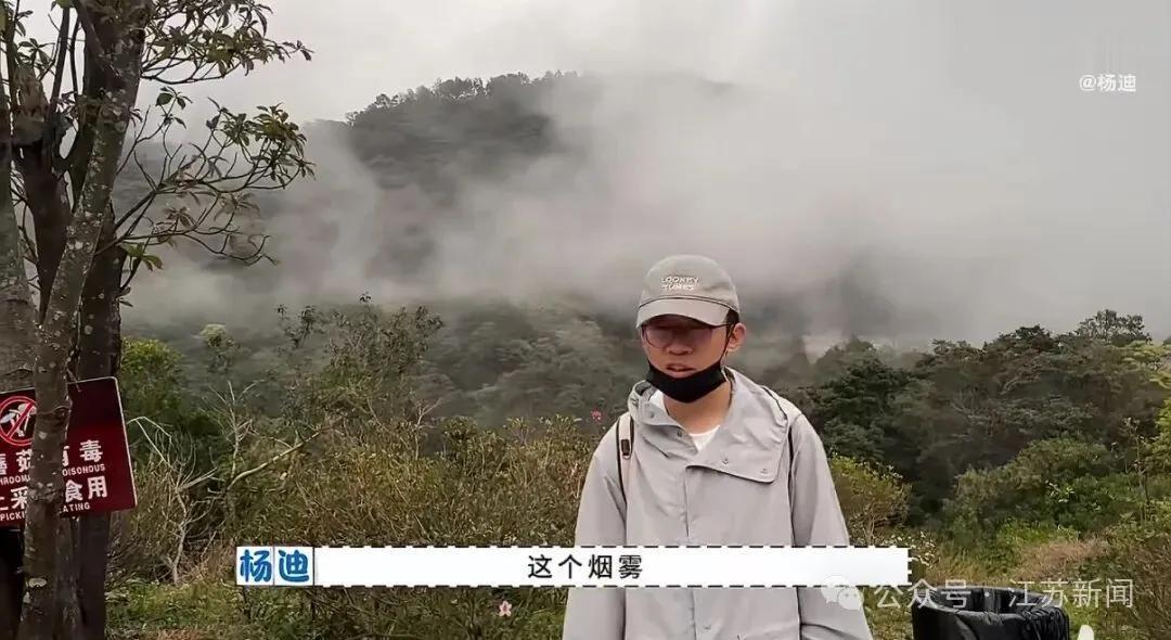 杨迪爬梧桐山，朋友直接被救护车拉走了：以为市区山很简单，结果差点两个都倒

6月