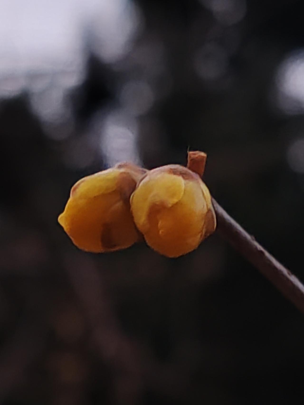 有人说梦话，还有人当真，真是的。