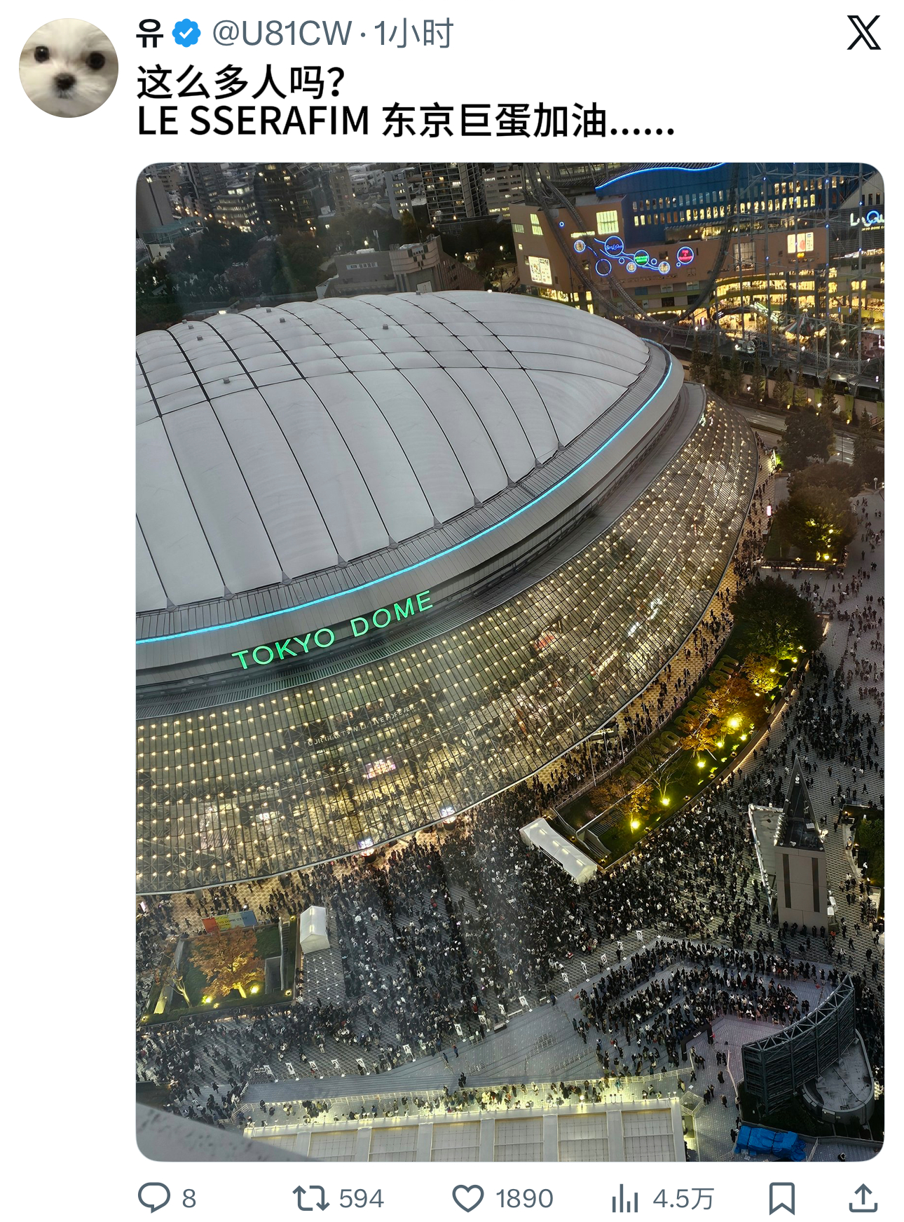 每次看到这种大家因为追星的爱聚集到一起都好感动LE SSERAFIM 东京巨蛋加