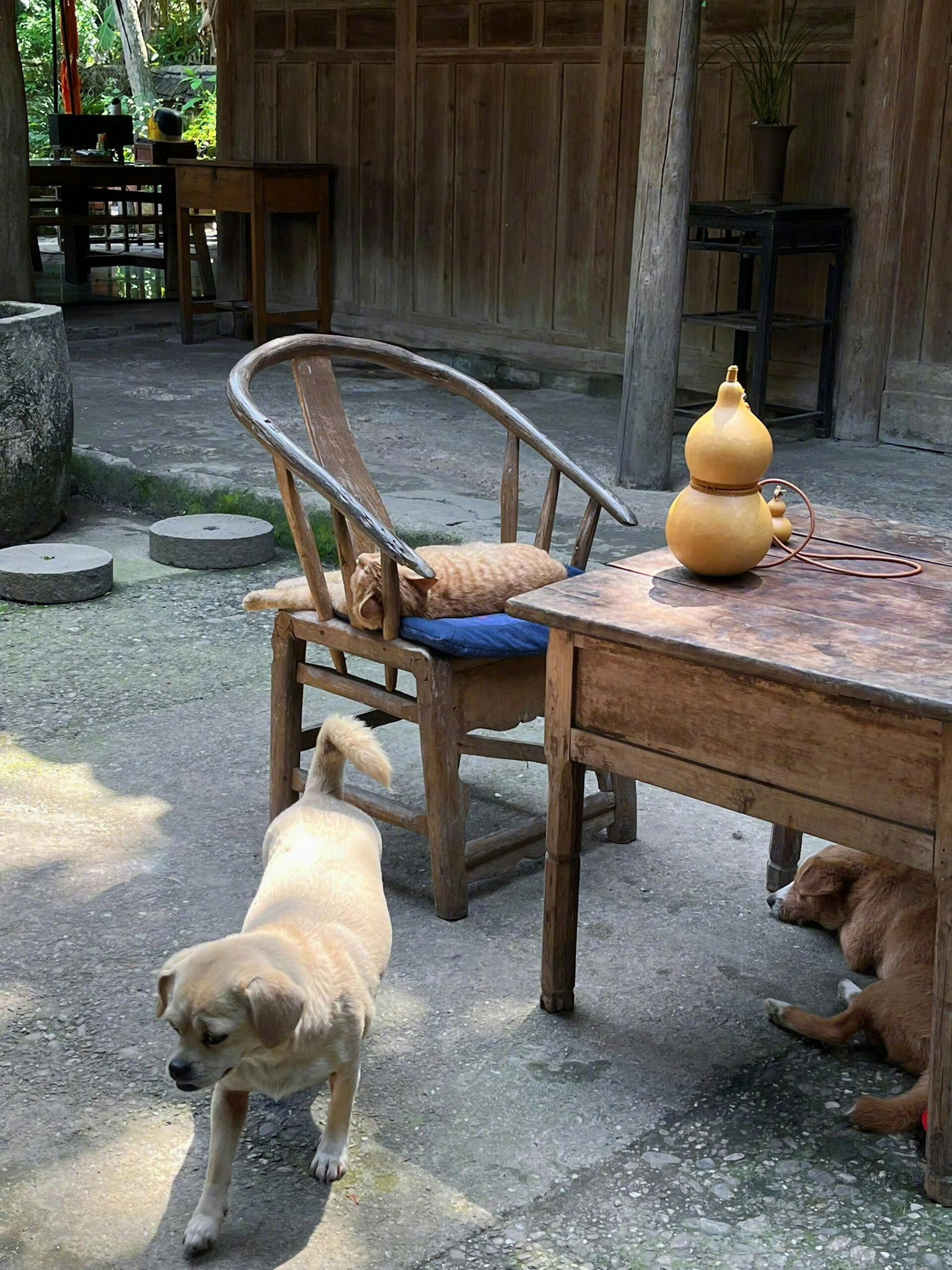 悠悠夏日 来日方长。 