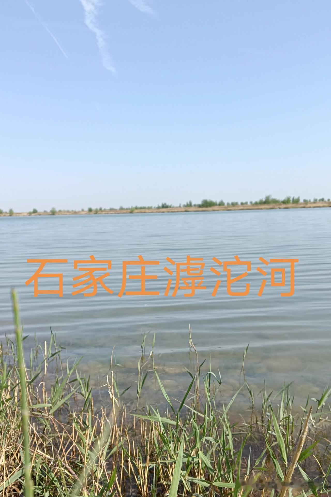 改善了区域小气候，让周边空气更加清新！这背后的功臣其实就是城市中的绿色植被。无论