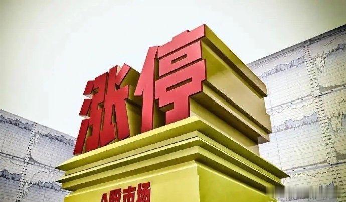 聚焦今日连板池（6月13日）1、元隆雅图，11天7板，概念板块：泡泡玛特合作/W